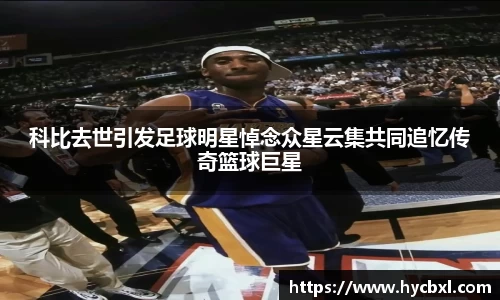 OETY官方网站入口