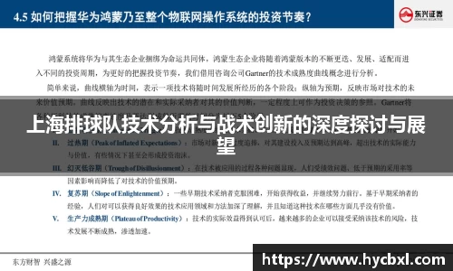 上海排球队技术分析与战术创新的深度探讨与展望