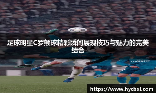 OETY官方网站入口